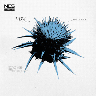 VBM (Ft. P-One)